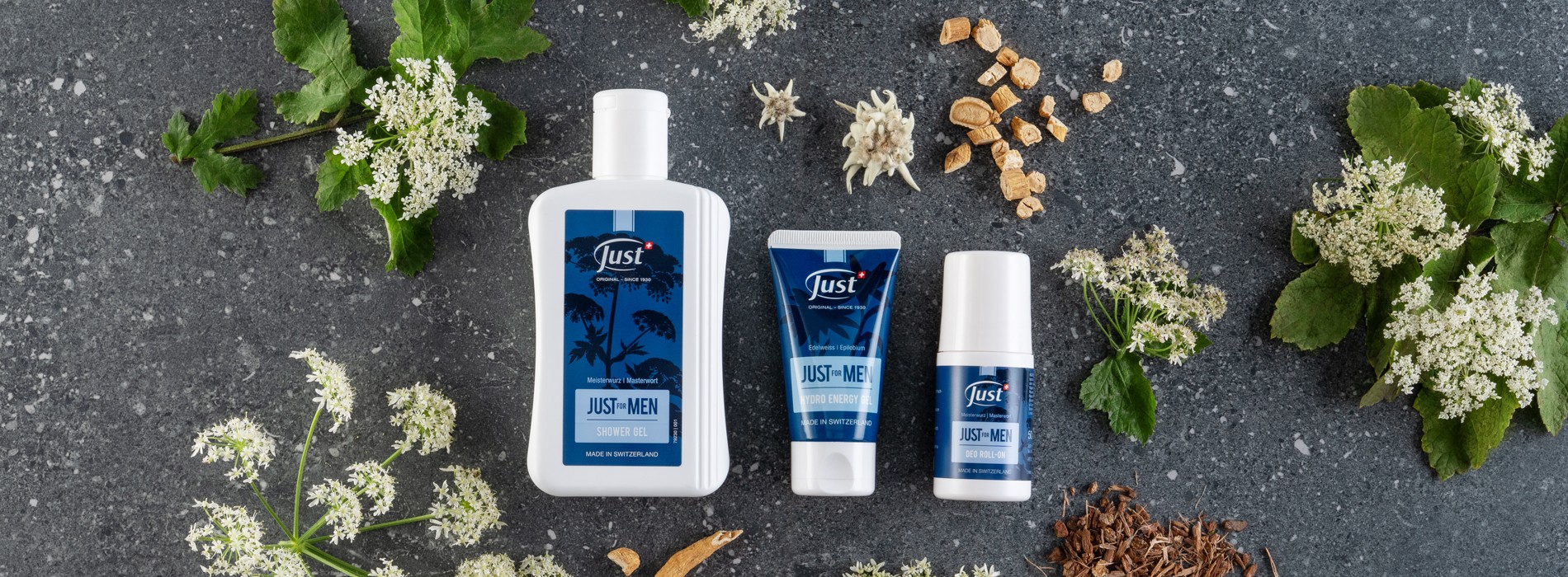 JUST FOR MEN